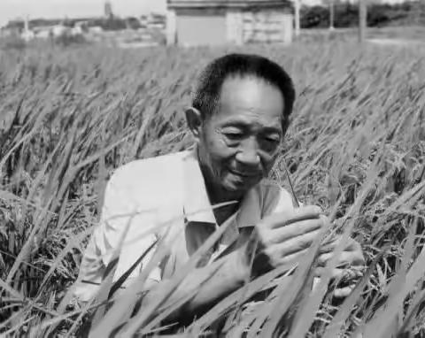 一粒种子改变世界     22机电大专二班   李庆云