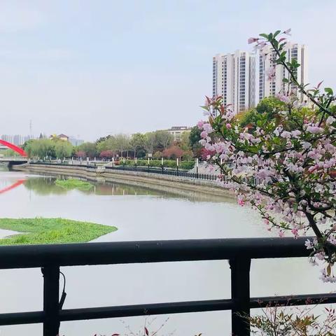 大美浦口｜今非昔比城南河