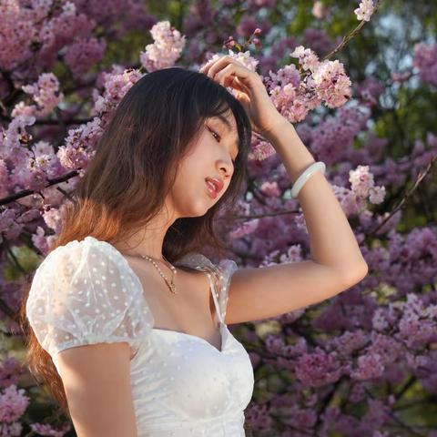 春暧花开拍照季