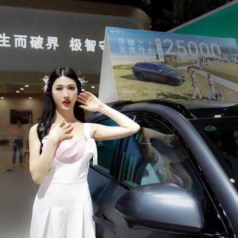 车模D