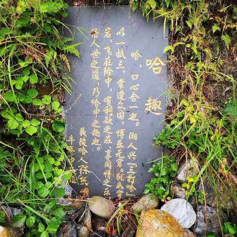 涂浦三日游