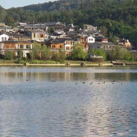 云贵愉快之旅，学大师们打鸟，飞鸟打不到，只能打呆鸟。