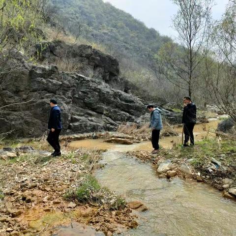 罗岭乡：搭乘全域旅游快车，乡村运营注入强劲动力