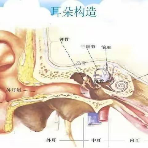 关爱听力健康，聆听精彩未来～～英豪水育幼儿园全国“爱耳日”宣传活动