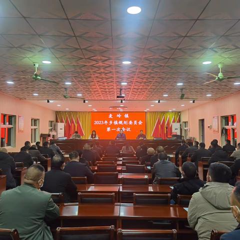 麦岭镇召开2023年乡镇规划委员会第一次会议