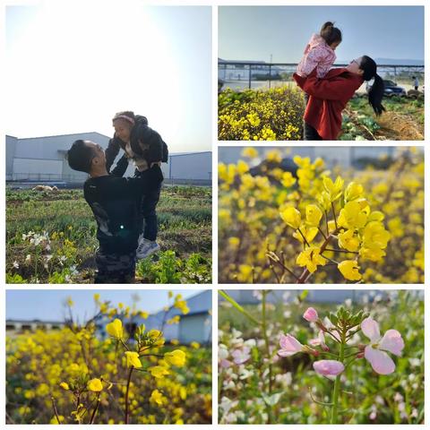 一年“植”计在于春——植树节主题活动