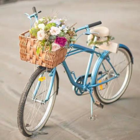周六13：00-14：30《花艺自行车🚲》