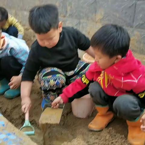 第一实验幼儿园滨湖分园中二班沙池区观察记录