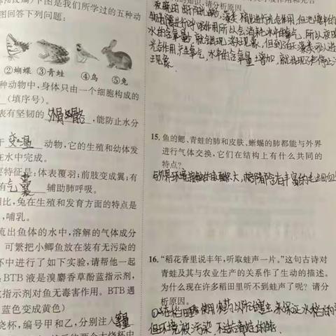 1.29李嘉欣的作业