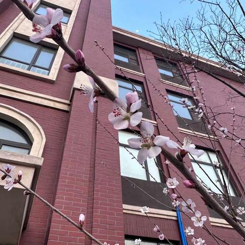 高二二班的点点滴滴