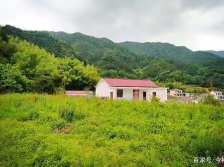 生态文明建设助力乡村振兴
