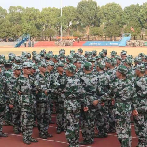 迷彩青春