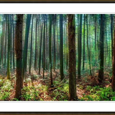 行赣闽古道，探秘林古亭