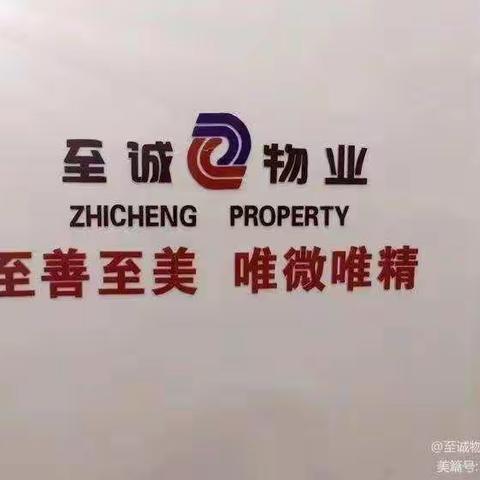 至诚物业（项目：金茂观澜府）2023年1月份工作汇报