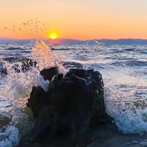 七月/乘风破浪