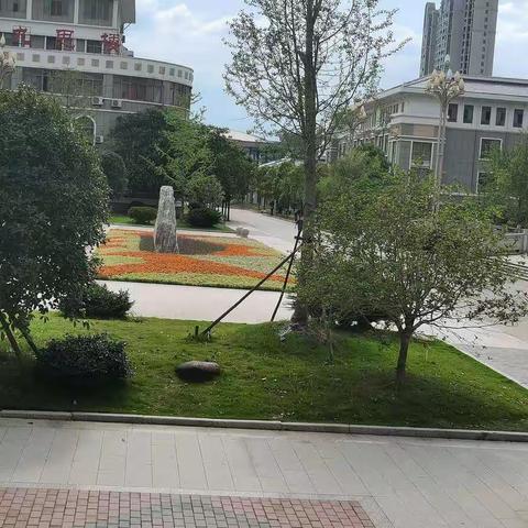 语”你相遇 集智助中考