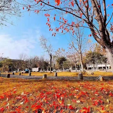 巧手绘书签 方寸溢书香—记高二语文特色教研活