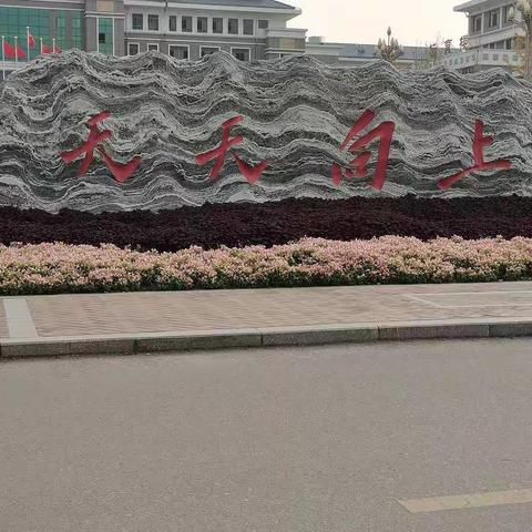 千磨万击还坚韧，任尔东西南北风—初中部语文教研组期末复习教研活动