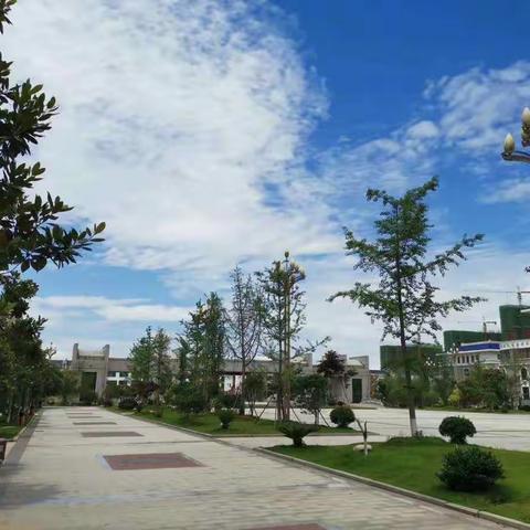 剖析与总结，反思与提升