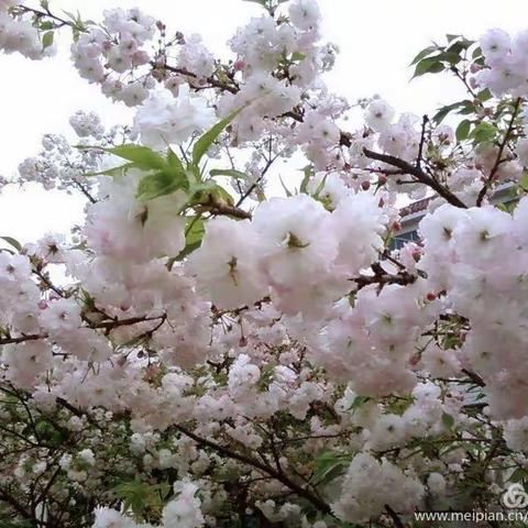 “开学延期，爱不延期”——清苑二幼在行动 4月14日（小班组姜俊杰老师）