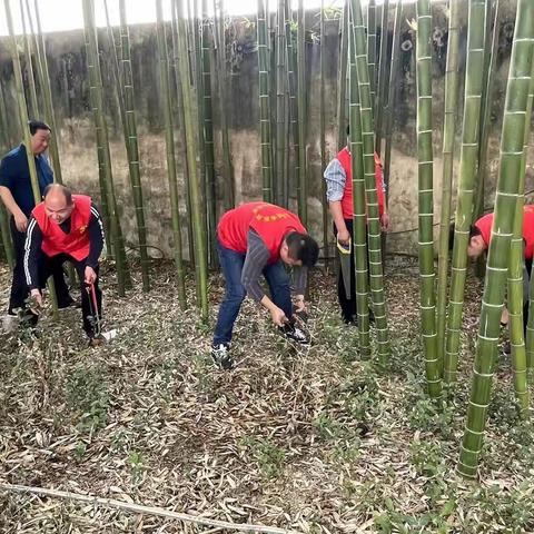 许昌市建安医院开展“义务护竹”植树节活动