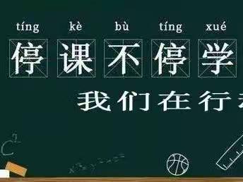 顺和镇中心小学停课不停学