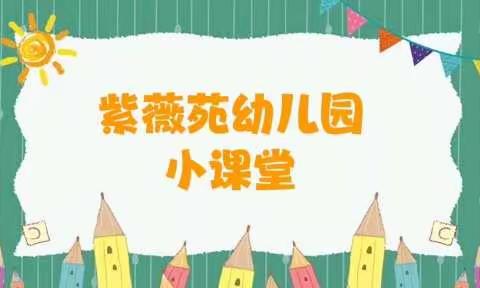 【紫薇幼云乐园·居家资源】          中班组（一）