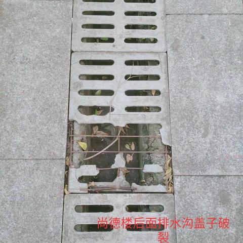灵山中心学校检查问题汇总
