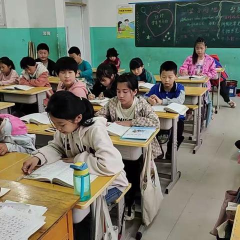 【关爱学生幸福成长】--魏县第八中学七年级生物组在行动