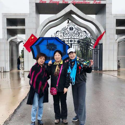 今早虽说雨很大，但我们风雨无阻，勇往直前，驱车来到武汉江夏区的薰香悦农业公园 .....