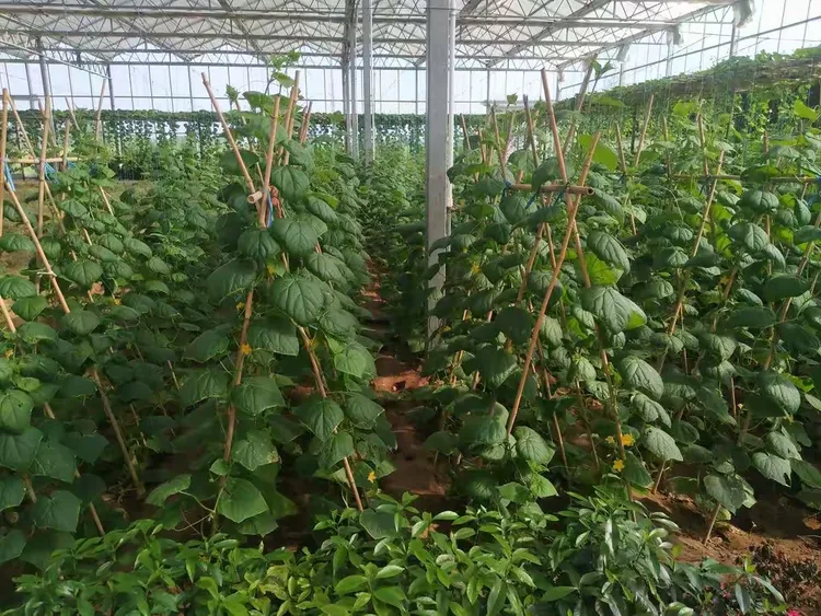 潍坊乐高农场优惠活动开始了!