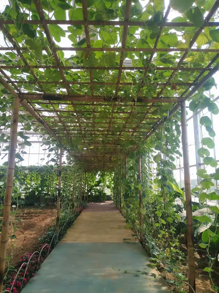 潍坊乐高农场优惠活动开始了!