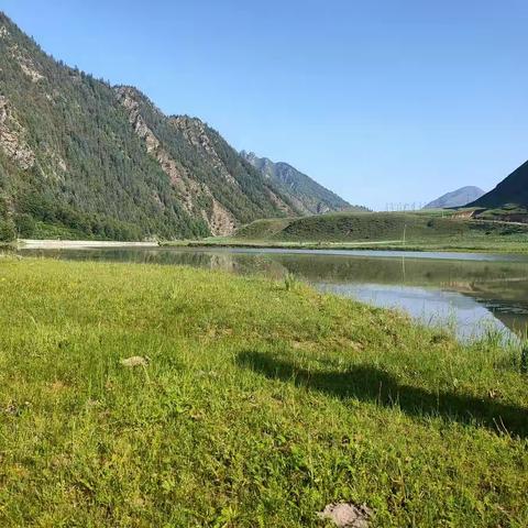 门源油菜花海一日游