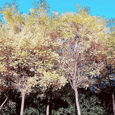 初秋，你最美的样子