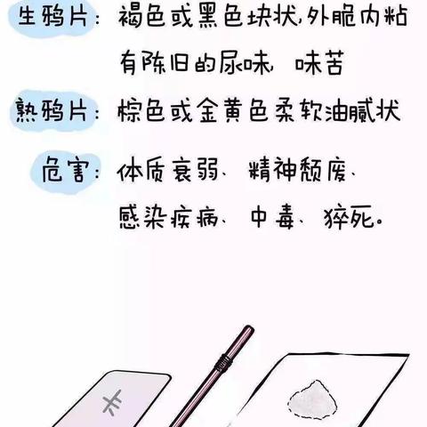 禁毒知识主题班会