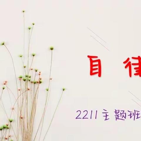 2211主题班会—自律