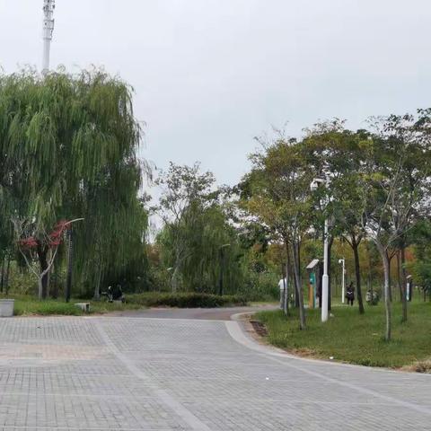 郑梁梅小学二（11）班费竞瑶