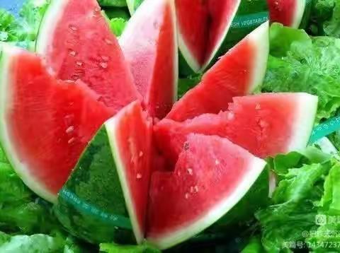 吃西瓜🍉