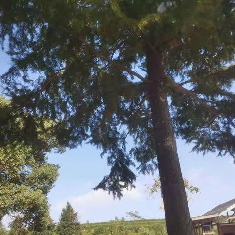 霜降，是告别也是期待