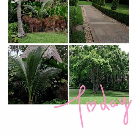 泰国普吉旅行记忆