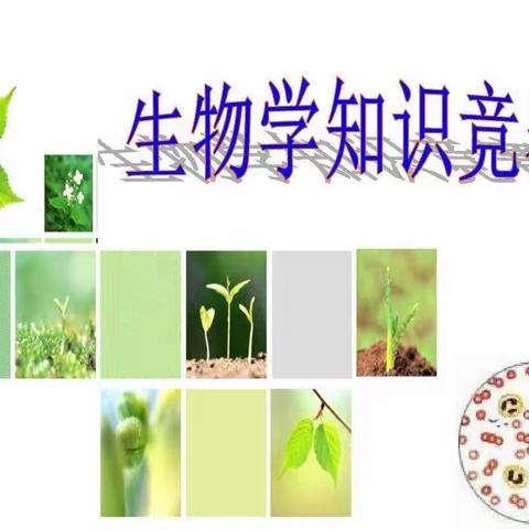 生生不息，物竞天择———记海南华侨中学观澜湖学校2021—2022学年高中生物学科知识竞赛