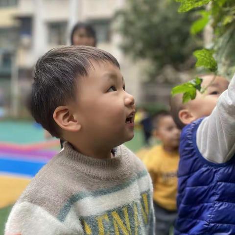 芽芽班的宝贝来了