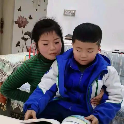 万物皆自然的美篇