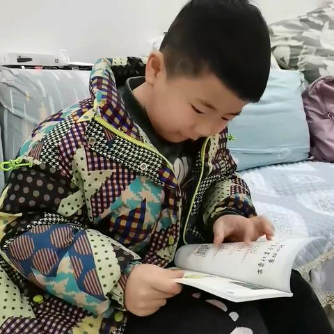 万物皆自然的美篇