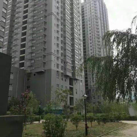 自强村综合改造项目（38中周边改造项目）安置楼交付工作顺利启动