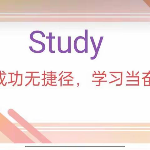 阶段性学习成果总结