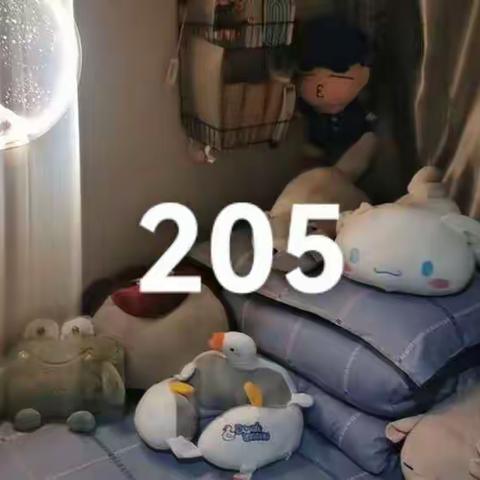 2022年11月9日卫生检查