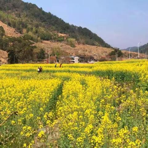 文明旅游 你我同行，垃圾分类 永泰更美