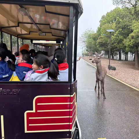“研学启智 踏春而行”—2023年南浔水晶晶新城学校研学活动