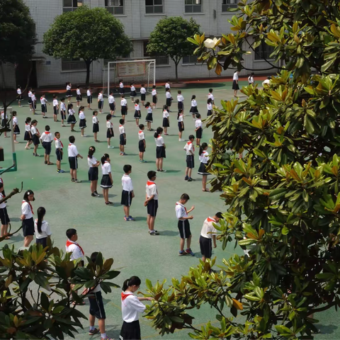 悠悠湘江水，共话融合教育情 ——融合教育巡回指导走进湘江小学